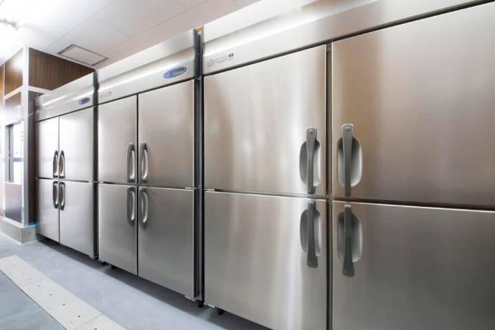 Summer Coolers, Hidden Dangers: Ice and Frozen Foods as Pathogen Vehicles