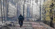 Heladas en Río Negro y Neuquén: pronóstico para la noche del sábado 6 de septiembre de 2025