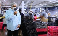 Jefe de Estado lidera jornada de trabajo productiva dedicada a la Seguridad y Soberanía Alimentaria Nacional