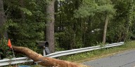 Cyclist riding with child narrowly avoids being struck by fallen tree