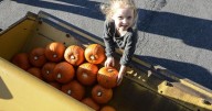 Harvest Festival kicks off in Milton Saturday
