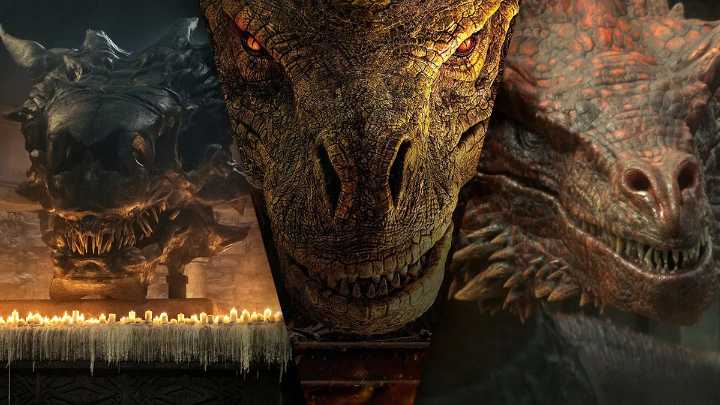 Por una rara enfermedad, veía dragones en los rostros de las personas