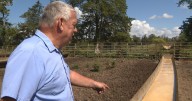 Jack Daniel's scraps partnership with farmers in this Tenn. county, local livestock operations left scrambling