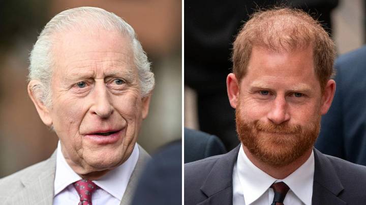 Prince Harry makes surprising admission about Archie and Lilibet after meeting with King Charles