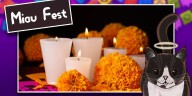 Miau Fest 2025: todo lo que debes saber el evento gatuno de Día de Muertos en CDMX