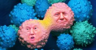 Trump Shutting Down Cancer Research