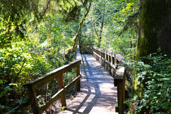 Marysville restores Deering Wildflower Park following storm damage