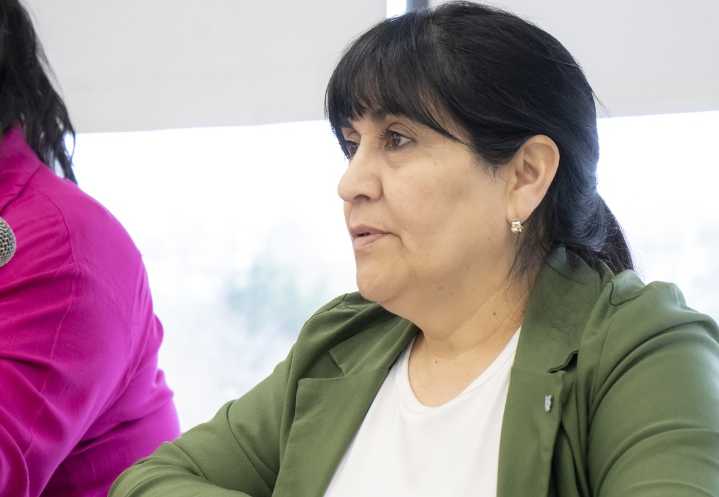Avanza en comisiones el proyecto para implementar el Plan Integral de Fibromialgia al plan médico obligatorio en Santa Cruz