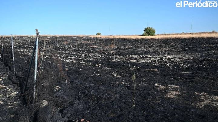 Los bomberos sofocan un incendio en Cáceres el Viejo