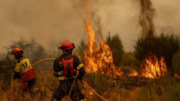 Los incendios del verano en Europa emitieron los niveles más altos de contaminación en 23 años: la mitad fueron de España
