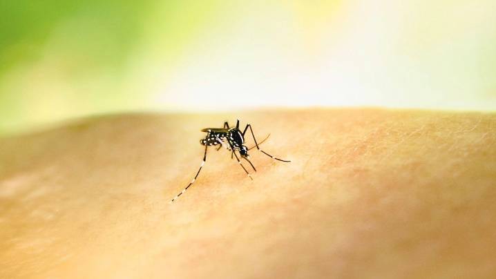 DuPage County reports first human death of year from West Nile
