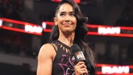 Bully Ray Says This 'Dog Whistle' From AJ Lee's WWE Raw Promo Was Important To Say