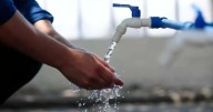 Desde Algarrobo: Startup desarrolla sistemas de purificación de agua para combatir la escasez hídrica en comunidades