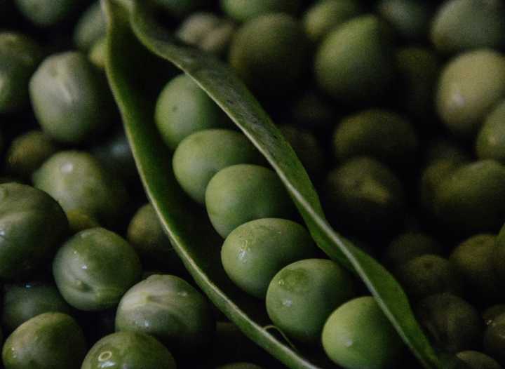 Seguridad alimentaria: Un pacto de país
