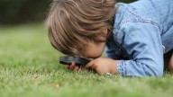 Ticks Vs Fleas: How To Know What's Hiding In Your Grass
