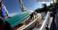 HCSO's marine unit rescue men, dog adrift on sailboat near Apollo Beach