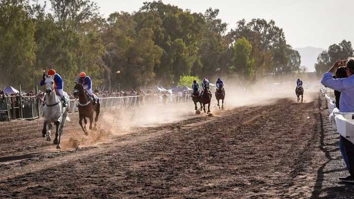 Turf en San Juan: triunfo de Solicitadísimo en el Clásico Sarmiento