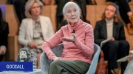 'The environment is getting left behind,' says Jane Goodall
