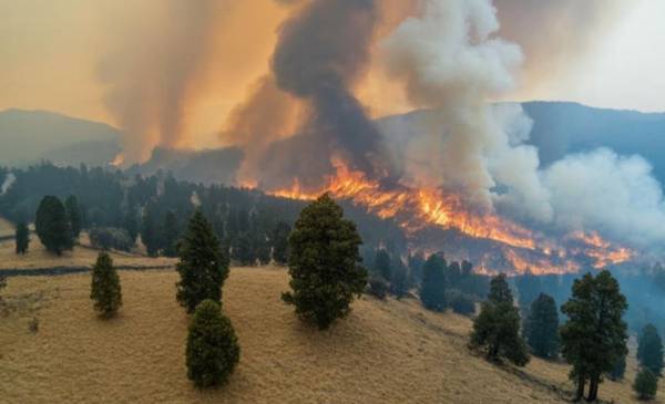 Incendios forestales destruyen más del 30 % del Parque Nacional Etosha en Namibia