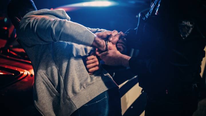 Arrestado en Houston por disparar contra seis perros callejeros