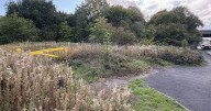 Woman raped in 'brutal racist attack' as police launch probe