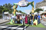 El mango y el aguacate, grandes protagonistas en Mogán