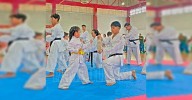 Invitan a la Novena Copa de Karate APDAO en Nuevo Laredo