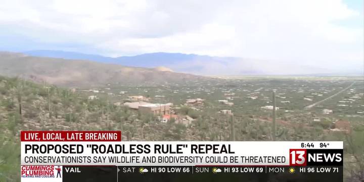 Arizona forests could lose federal protection with the Roadless Rule repeal