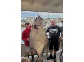 Teen catches huge halibut bigger than him
