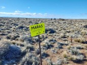 Reabrió el portal MARAS para seguir el estado de los pastizales en la Patagonia