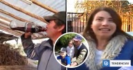 ¿Un manjars? ¿La Madre Leona?: Encuesta CADEM develó cuál es el viral chileno favorito en la historia