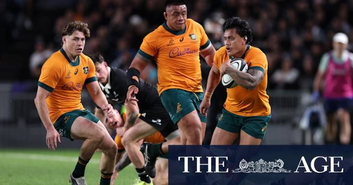 Wallabies player ratings: Billy Pollard and Len Ikitau shine despite Eden Park loss to All Blacks