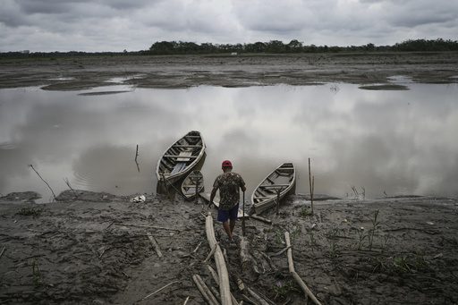 Well-preserved Amazon rainforest on Indigenous lands can protect people from diseases, study finds
