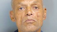 Detroit man facing more than a dozen felony charges