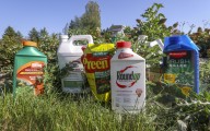 How to win the war on weeds