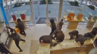 In Just 80 Seconds, Masked Suspects Ransack California Jewellery Store In $1 Mn Heist