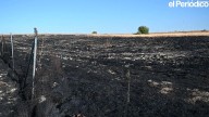 Los bomberos sofocan un incendio en Cáceres el Viejo