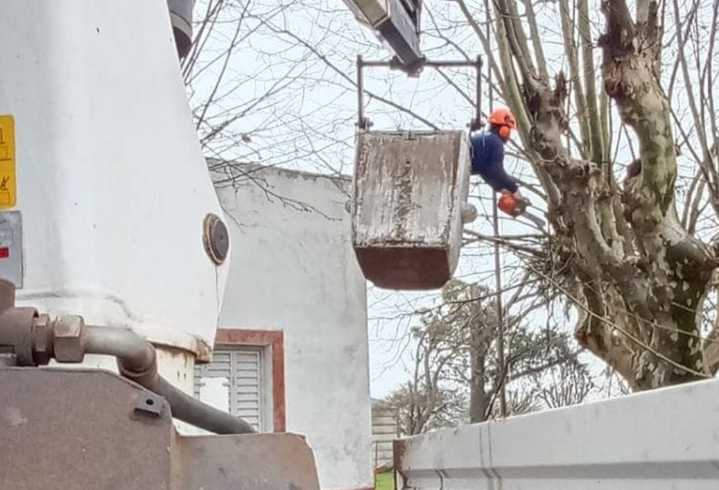 Podan en la Escuela Primaria 24
