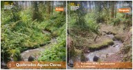 En la localidad de San Cristóbal se realiza limpieza de la quebrada Aguas Claras