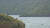 U.S. Army Corps of Engineers opens seasonal hunting access roads at Raystown Lake for 2025