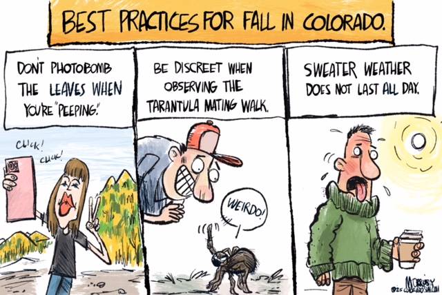 Jim Morrissey: Don't fall for these faux pas