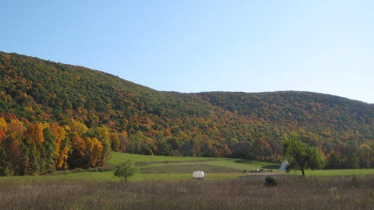 Why New Jersey deserves a Green Amendment now: Opinion Alison Mitchell