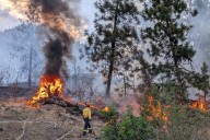 B.C. wildfire season tops average with over 840,000 hectares burned