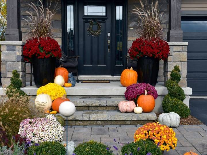 The City Gardener: How to give your fall garden a lift 