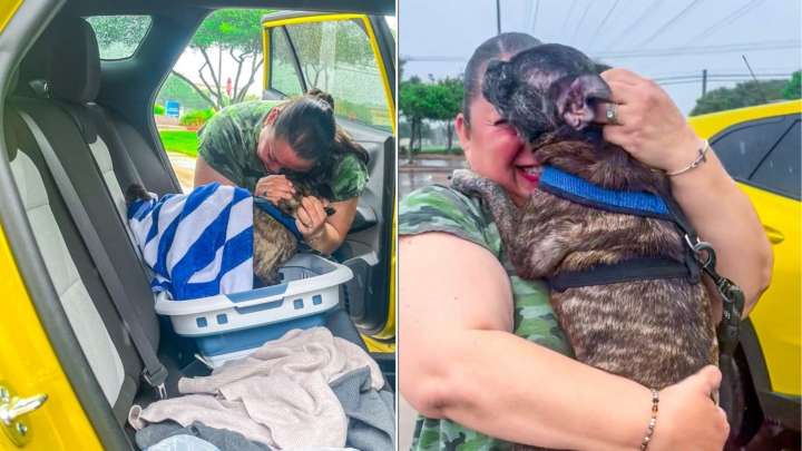 Texas Family Stunned When Their Missing Dog Turns Up After 8 Years, 300 Miles From Home In A Bathroom