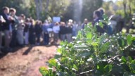 Destacan innovación y producción sustentable de cara a la Fiesta Provincial del Agricultor