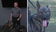 Franklin Police Department welcomes new K