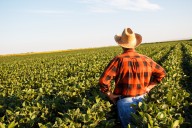 'Don't know where it's going': Farmers stressed as Trump tariffs threaten record harvest