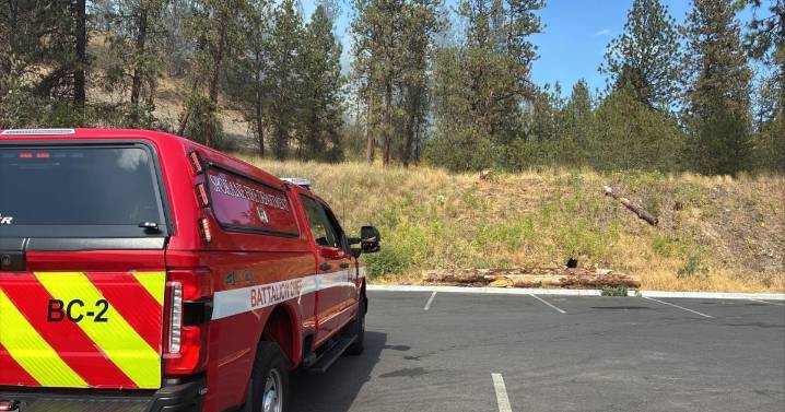 Fire crews battle brush fire on Downriver Drive