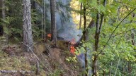 Port Alberni fire crews respond to fire near Roger Creek
